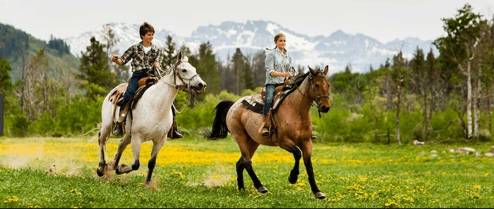 Confident plus-size woman riding Livingston a horse through a field with a smile on her face.